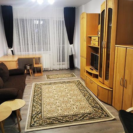 Violet Residence Тиргу-Муреш Екстер'єр фото