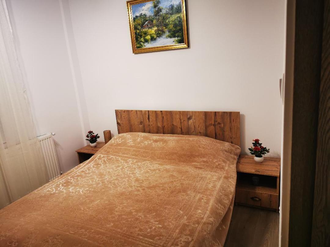 Violet Residence Тиргу-Муреш Екстер'єр фото