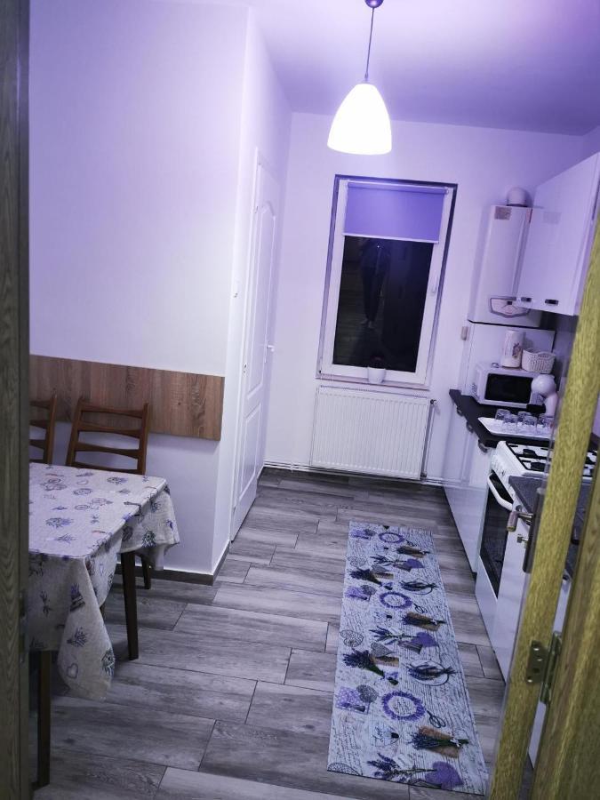 Violet Residence Тиргу-Муреш Екстер'єр фото